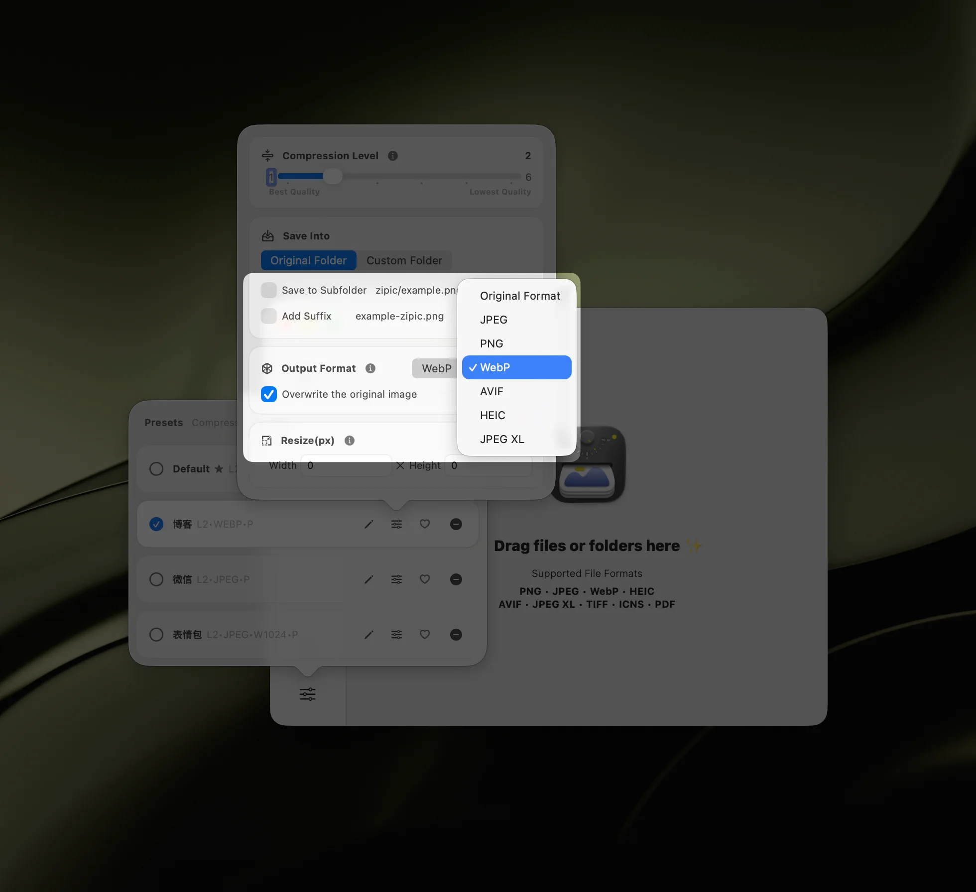 Zipic format conversion showing output format selection including WebP, AVIF, HEIC, JPEG-XL